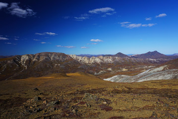 Beautiful landscape in national park Denali in Alaska