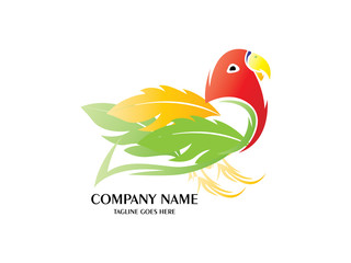 Abstract And Unique Lovebird vector design template. An exotic bird on white background&nbsp;