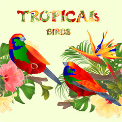 Seamless border  tropical birds Euplectes and tropical flowers  pink and yellow hibiscus and Strelitzia palm,philodendron and ficus vintage vector illustration  editable hand draw