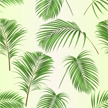 Seamless texture palm leaves decoration tropical plant on a tropical background vintage vector illustration editable hand drawn © zdenat5