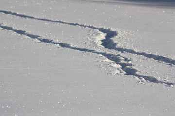 Spuren im Schnee