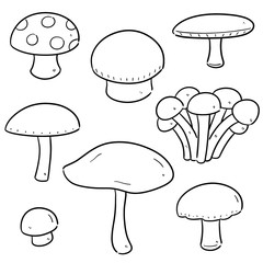 vector set of mushrooms