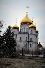 Orthodox Church
