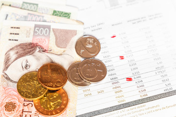Bill for -  Business Concept - Financial Report and Czech money