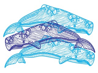 Humpback whale. Meditative coloring. Mandala, dudling drawing. Drawing by hand. Coloring for children. Points, stripes, arrows.
