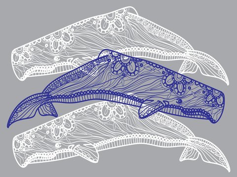 Humpback whale. Meditative coloring. Mandala, dudling drawing. Drawing by hand. Coloring for children. Points, stripes, arrows.