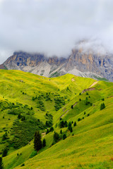 Panorama View of the Alps Mountains