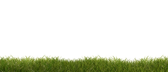 green grass isolated on white 3d-illustration