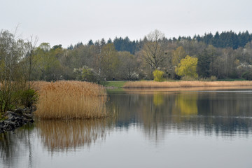 losheimer stausee