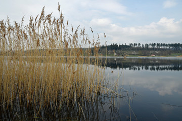 losheimer stausee