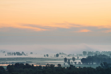 Fototapeta premium Mystic view on forest under haze at early morning. Mist among tree silhouettes under predawn sky. Gold light reflection in water. Calm morning atmospheric minimalistic landscape of majestic nature.