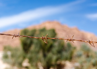 rusty barbed wire on a background of green plants and a blue sky with clouds