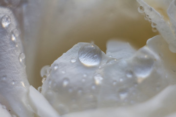 water drops
