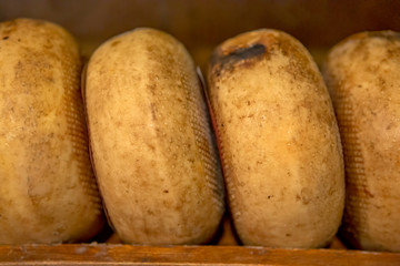 Traditional cheese round in Italy