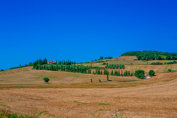 Obraz premium Panoramic view of a spring day in the Italian rural landscape