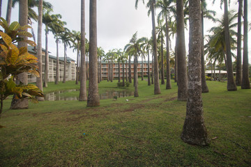 Martinique island French Antilles
