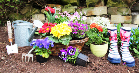 Farbenfrohe fr&uuml;hlingsblumen