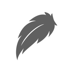 Feather - vector icon. Feather isolated on white