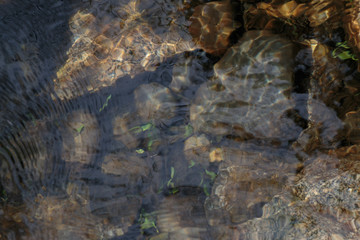 Overhead view of pond bottom background texture with bottom stones and ripples in clear water producing an abstract effect.