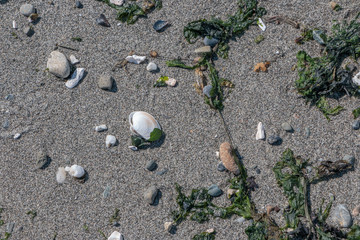 Beach sand background texture