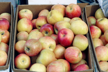 apples in box