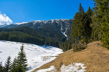 Hiking on the road from Zarnesti to the Piatra Craiului mountains, in Romania.