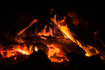 Bonfire Warmth