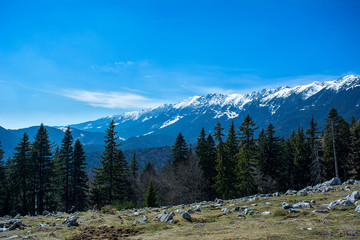 Fototapeta premium Hiking on the road from Zarnesti to the Piatra Craiului mountains, in Romania.