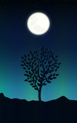 Night landscape with starry sky and full moon on a background of silhouettes tree