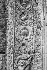 Dinosaur of Ta Prohm, Siem Reap, Cambodia in b&w