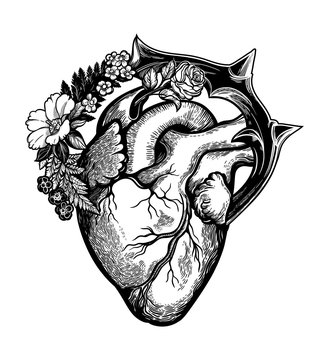Naturalistic heart in a frame of flowers and thorns.Vintage gothic style inspired art. Vector illustration isolated. Tattoo design, trendy romance symbol for your use.
