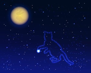 Fototapeta na wymiar Cat star on sky and moon