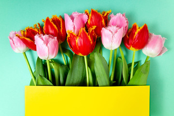 Bouquet of tulips flowers on color festive background. Spring flowers on floral card. Greeting card, holidays concept. Top view, copy space