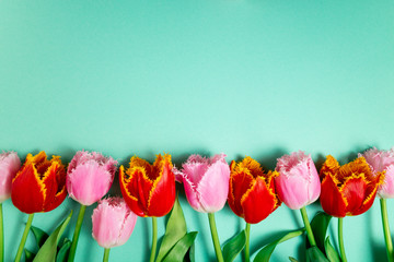 Bouquet of tulips flowers on color festive background. Spring flowers on floral card flat lay. Greeting card, holidays concept. Copy space, top view
