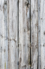 Fototapeta premium ancient antique wooden barn boards as a background; natural wood texture gray background; old fir boards with pronounced atmospheric effects