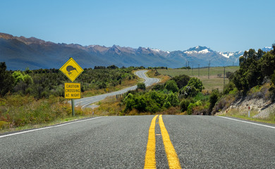 Kiwi road sign on zig zag road in New Zealand