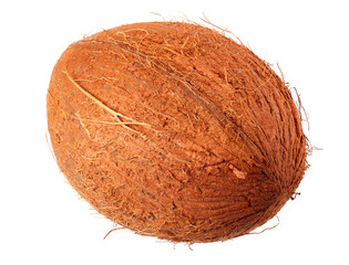 fresh coconut isolated on a white background