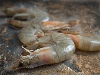 White shrimps on brown background