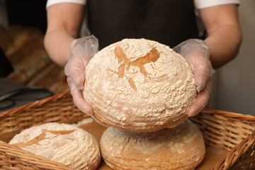 Professional baker holding loaf of bread over tray in store, closeup