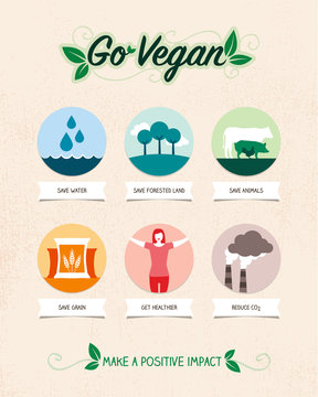 Vegan Diet Benefits Infographic With Icons