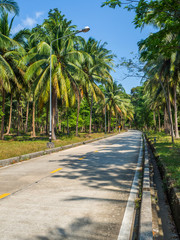 Fototapeta premium The beautiful roads of Koh Phangan go into the distance. Thailand