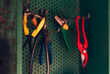 Close up of colorful worktools (scissors, pruning shears, Pliers) hanging on green wall in shed. Illuminated photo of stack of vintage and gardenering (hobby) Equipment in workshop in the case.