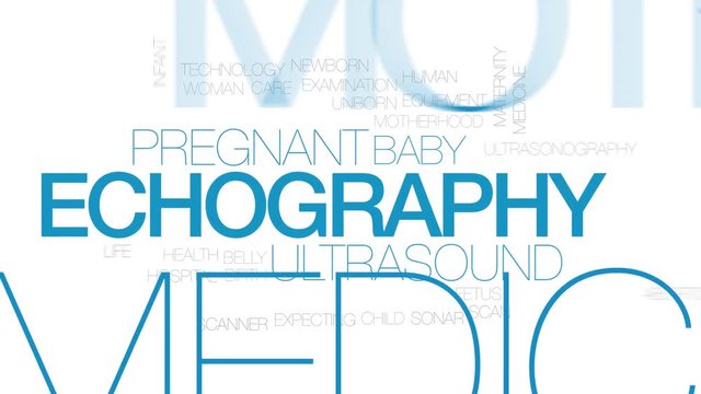 Echography animated word cloud. Kinetic typography.