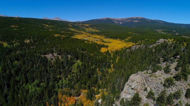 Fall Colors in the Rocky Mountains near Nederland Colorado