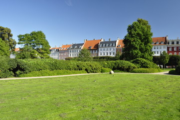 Fototapeta na wymiar Park in Copenhagen, Denmark