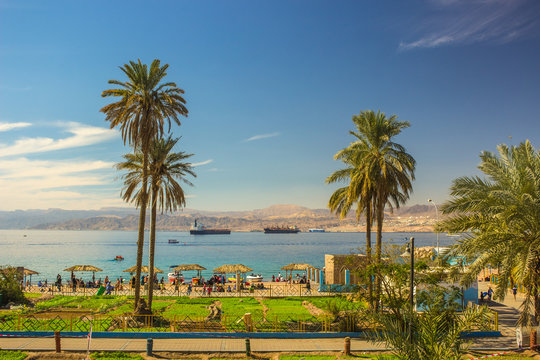 Aqaba Jordanian south city park outdoor waterfront with palms and view on red sea bay scenery landscape summer traveling and vacation concept photography from Middle East park of world 