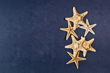 Fototapeta na wymiar Top view of five starfish on black background.