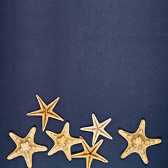 Fototapeta na wymiar Top view of six starfish on black background.