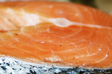 Slice of red fish salmon. Closeup
