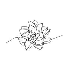 Hand drawn minimalistic succulent, one single continuous black line simple drawing.